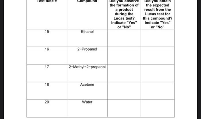 Aldehydes and ketones lab report