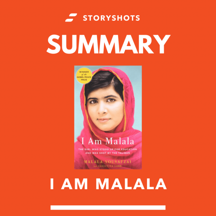 I am malala summary of each chapter