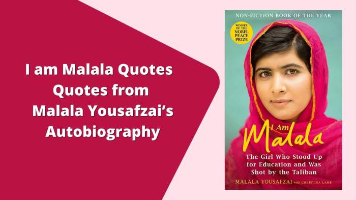 I am malala summary of each chapter