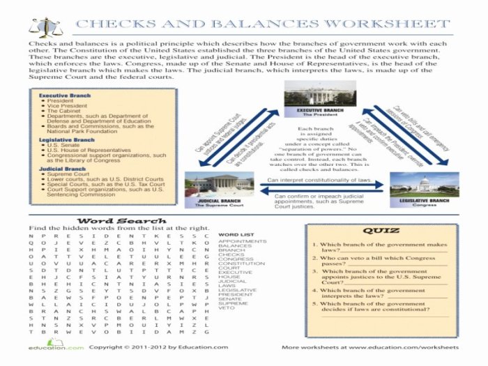 Checks and balances worksheet answers