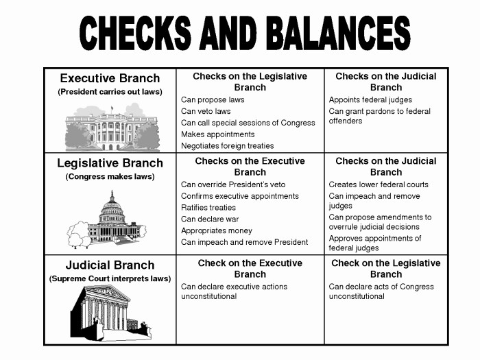 Checks and balances worksheet answers