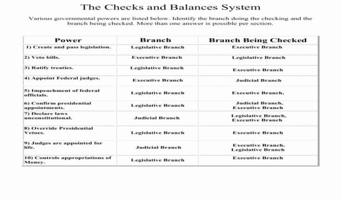 Checks and balances worksheet answers