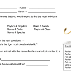 Taxonomy practice worksheet answer key