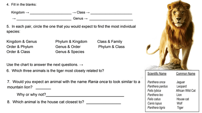 Taxonomy practice worksheet answer key