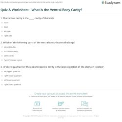 Body cavities practice worksheet answers