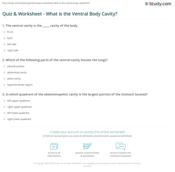 Body cavities practice worksheet answers