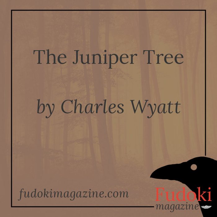 The juniper tree summary pdf