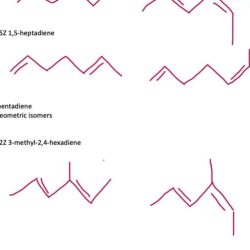 Methyl hexa diene