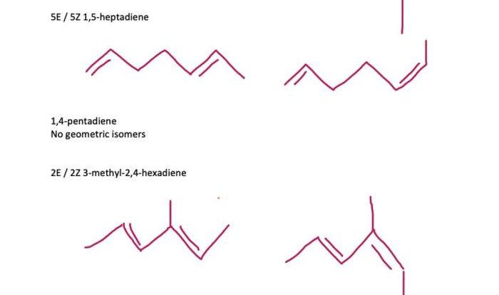 Methyl hexa diene