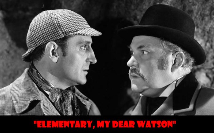 It's elementary my dear watson worksheet answers